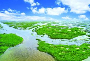 洪泽湖湿地景观